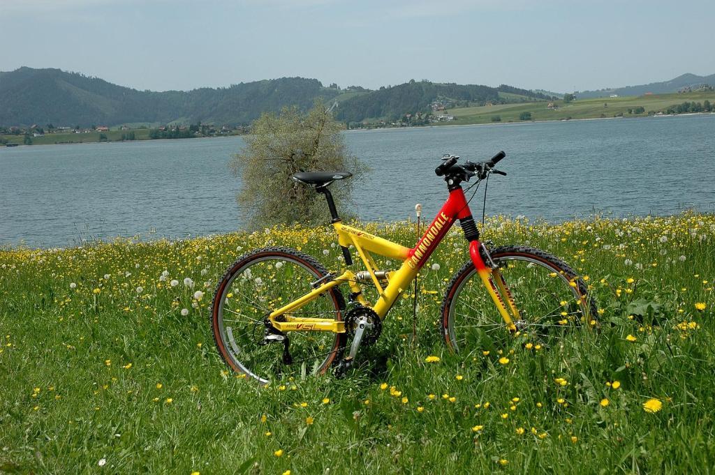 B&B Ferienhof Am See Willerzell Εξωτερικό φωτογραφία