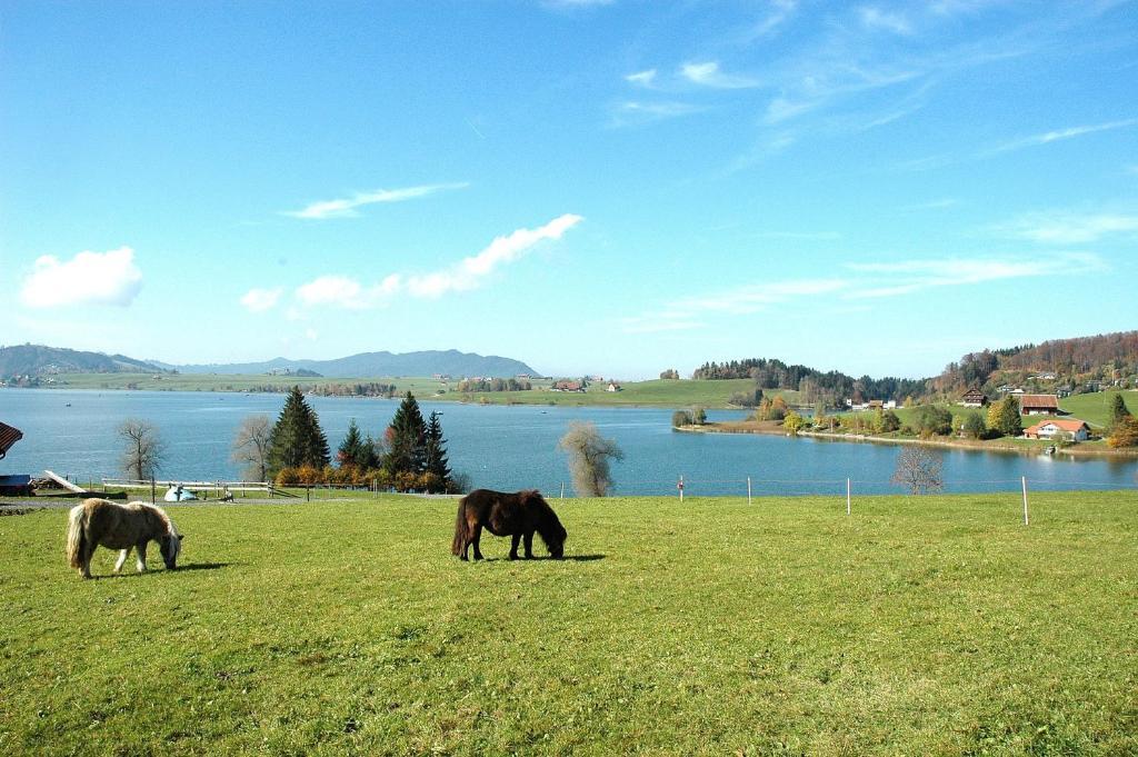 B&B Ferienhof Am See Willerzell Εξωτερικό φωτογραφία